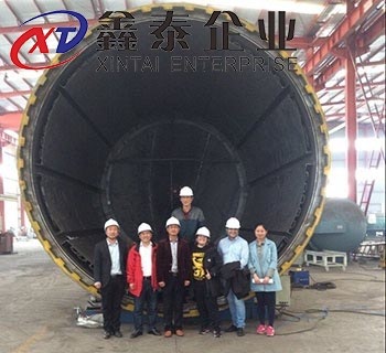 蘑菇视频着色版下载成型變形分析